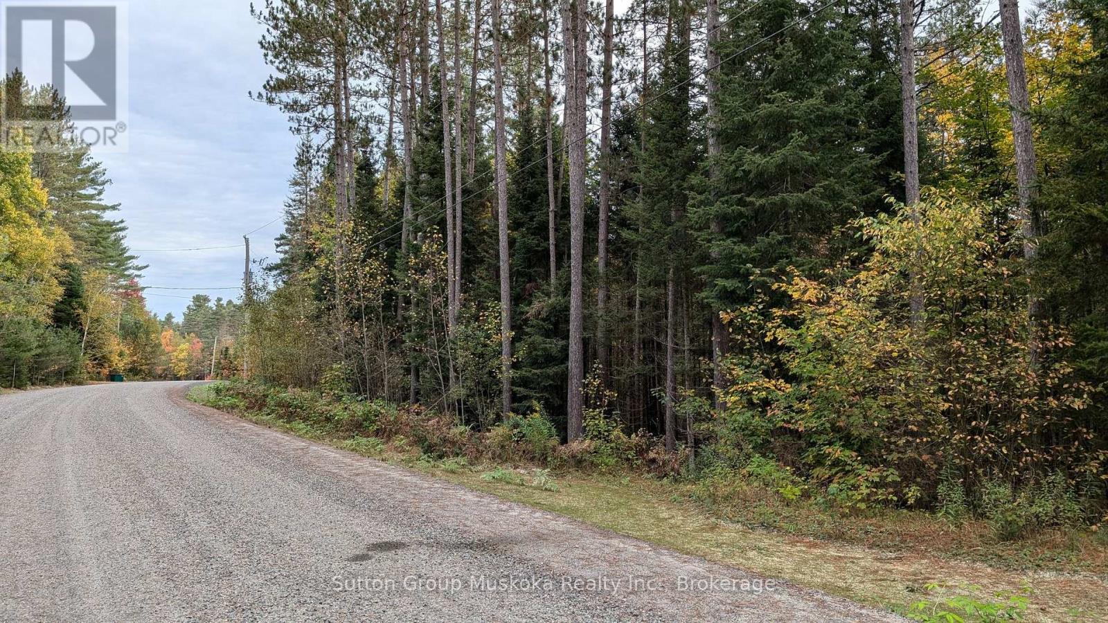 Lot 2 Red Pine Trail, Bracebridge (Macaulay), Ontario  P0B 1L0 - Photo 2 - X12045253