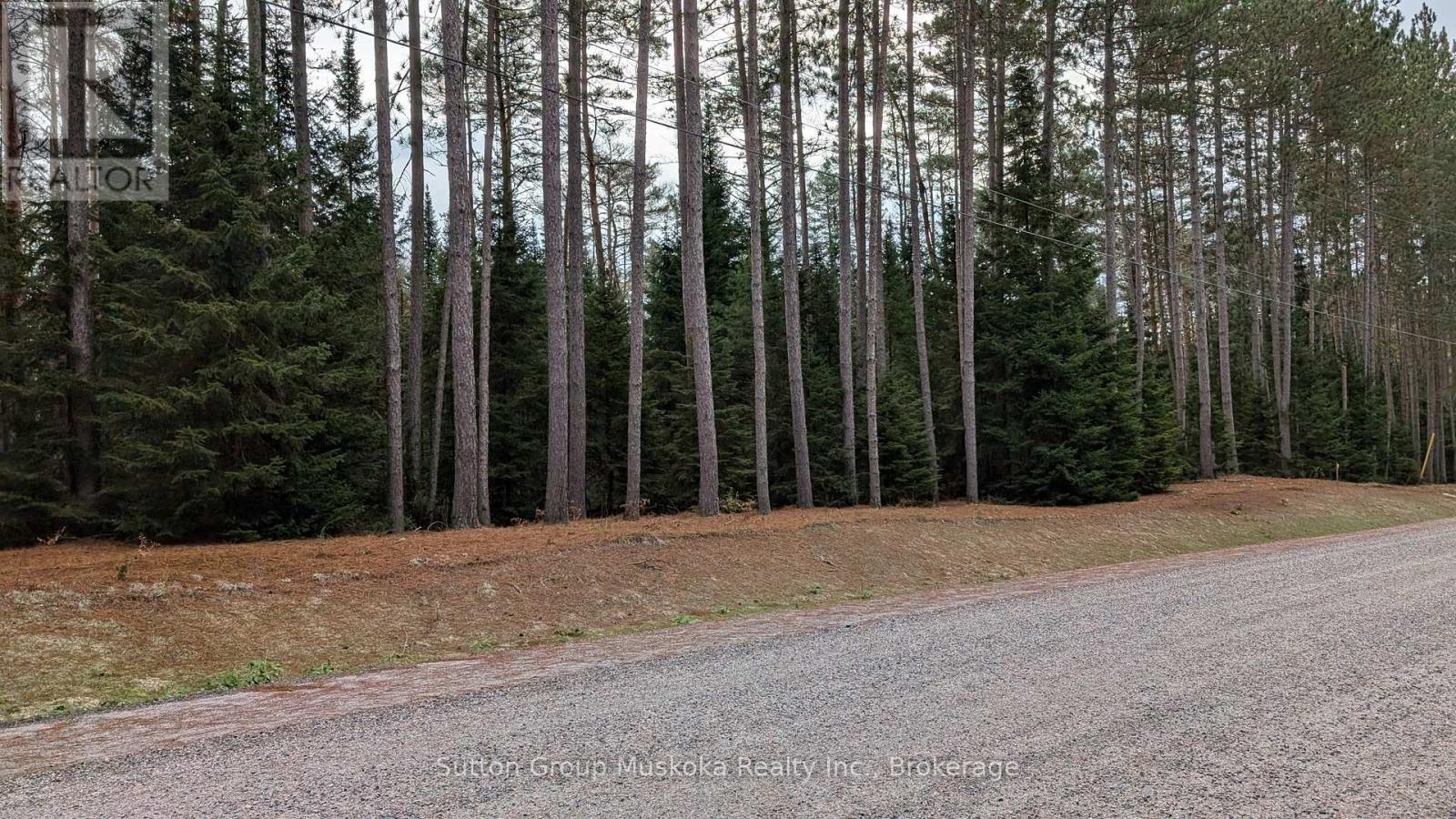Lot 2 Red Pine Trail, Bracebridge (Macaulay), Ontario  P0B 1L0 - Photo 3 - X12045253