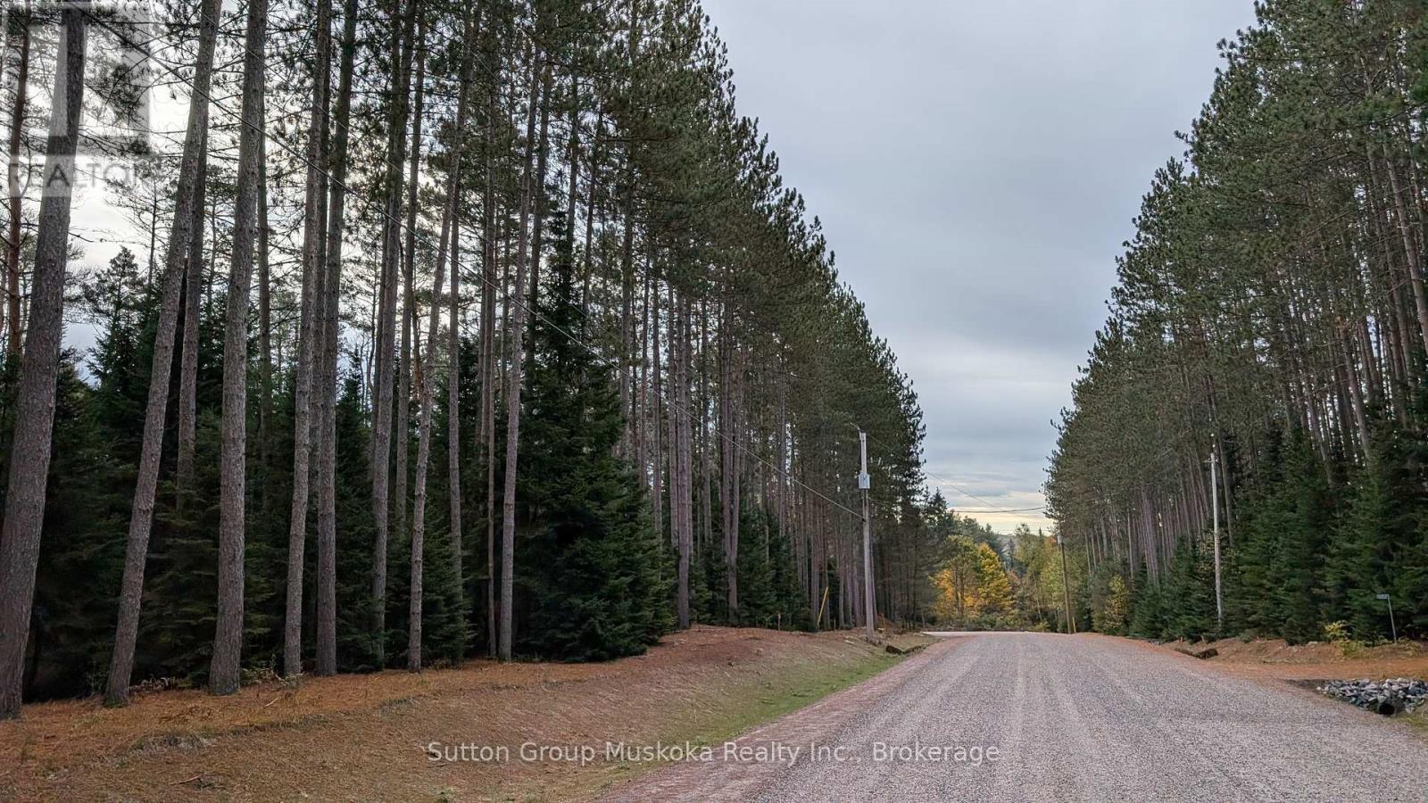 Lot 2 Red Pine Trail, Bracebridge (Macaulay), Ontario  P0B 1L0 - Photo 4 - X12045253