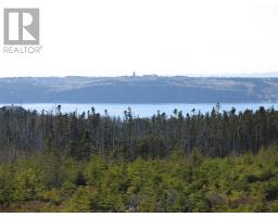 668 Old Broad Cove Road, Portugal Cove - St. Philips, Newfoundland & Labrador