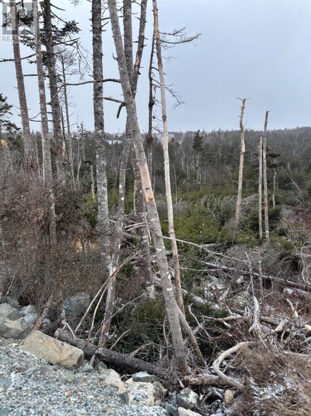 668 Old Broad Cove Road, Portugal Cove - St. Philips, Newfoundland & Labrador  A1M 2B6 - Photo 2 - 1283020