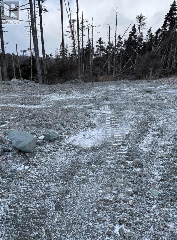 668 Old Broad Cove Road, Portugal Cove - St. Philips, Newfoundland & Labrador  A1M 2B6 - Photo 3 - 1283020