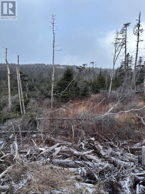 668 Old Broad Cove Road, Portugal Cove - St. Philips, Newfoundland & Labrador  A1M 2B6 - Photo 6 - 1283020
