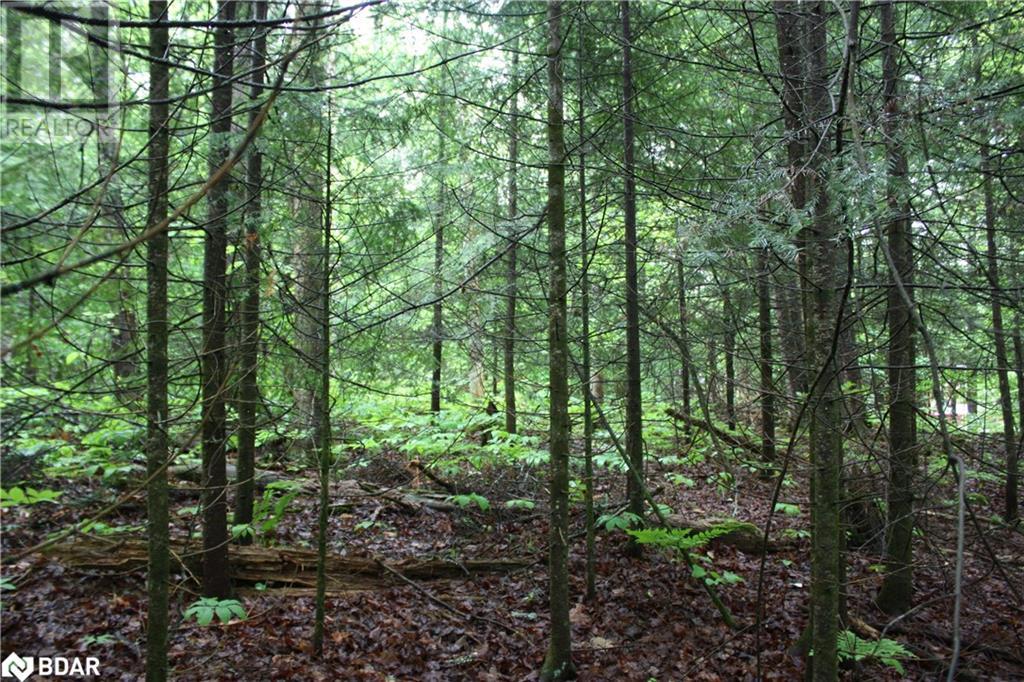 N/a Quarry Road, Bancroft, Ontario  K0L 1C0 - Photo 4 - 40708629