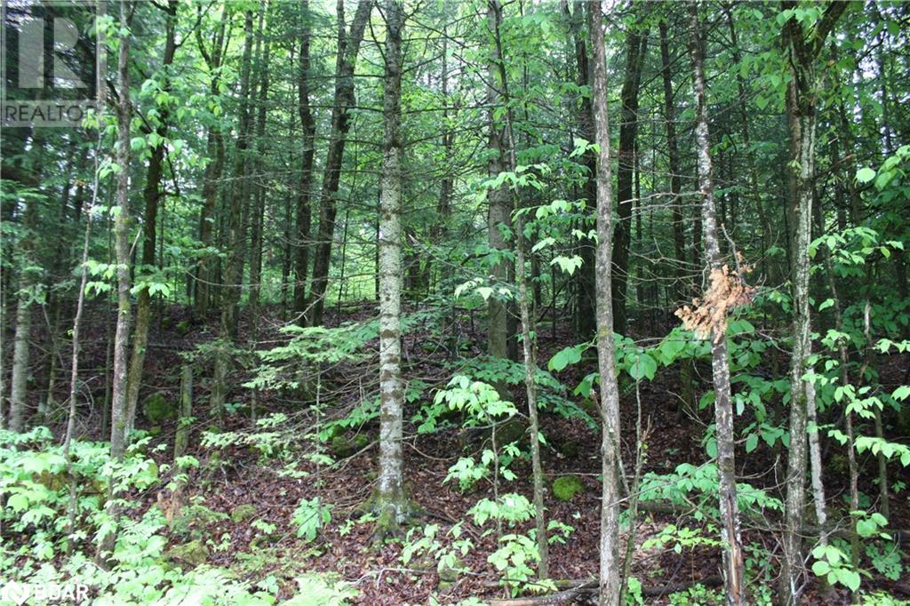 N/a Quarry Road, Bancroft, Ontario  K0L 1C0 - Photo 2 - 40708629