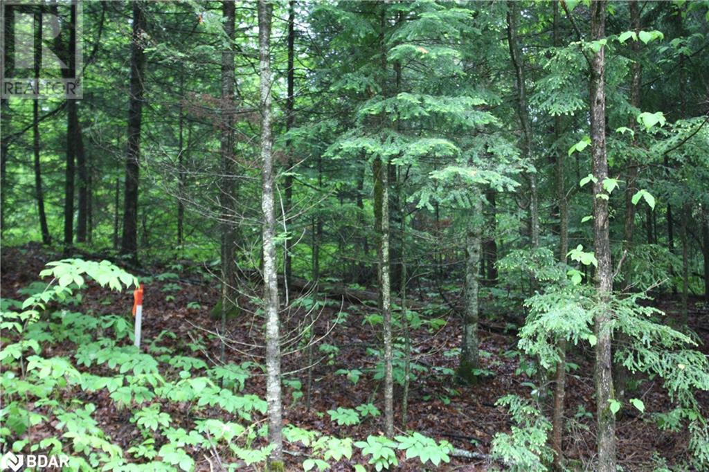 N/a Quarry Road, Bancroft, Ontario  K0L 1C0 - Photo 3 - 40708629