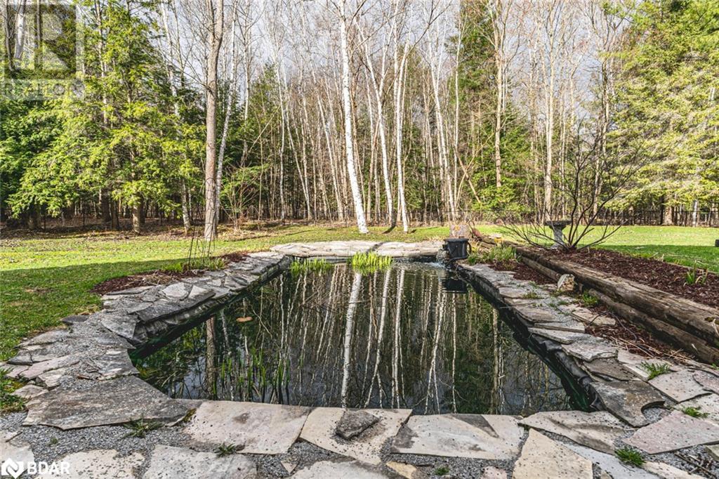 7816 6th Line, Utopia, Ontario  L0M 1T0 - Photo 29 - 40710453