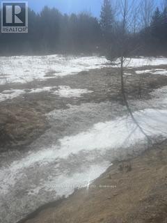 1451 Canal Road, Ramara, Ontario  L0K 1B0 - Photo 2 - S12045515