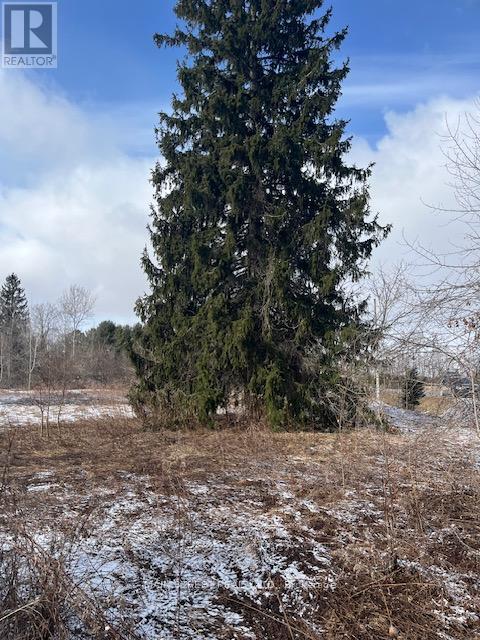 1451 Canal Road, Ramara, Ontario  L0K 1B0 - Photo 5 - S12045515