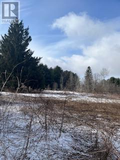 1451 Canal Road, Ramara, Ontario  L0K 1B0 - Photo 6 - S12045515