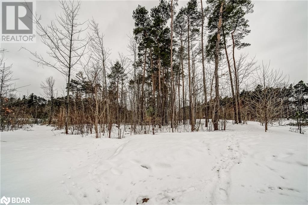 1716 Georgian Heights Boulevard Boulevard, Waubaushene, Ontario  L0K 2C0 - Photo 39 - 40706037