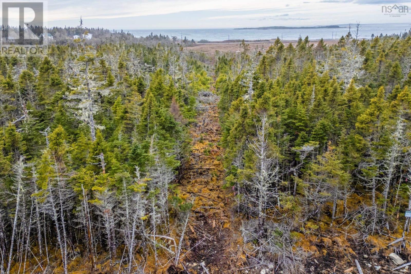 Lot 6 102 Ostrea Lake Road, Pleasant Bay, Nova Scotia  B0J 2L0 - Photo 11 - 202505994