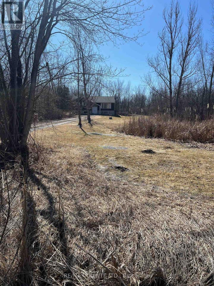 1168 Clearview Road, Centre Hastings, Ontario  K0K 3E0 - Photo 30 - X12045777