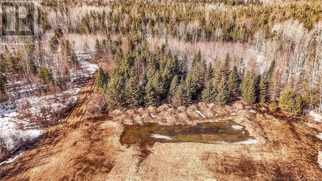336 Maclaggan Drive, Blackville, New Brunswick  E9B 1H7 - Photo 20 - NB114691