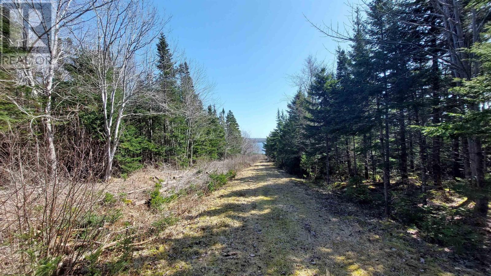 4 Acre West Bay Road, Sampsonville, Nova Scotia  B0E 3B0 - Photo 7 - 202506011