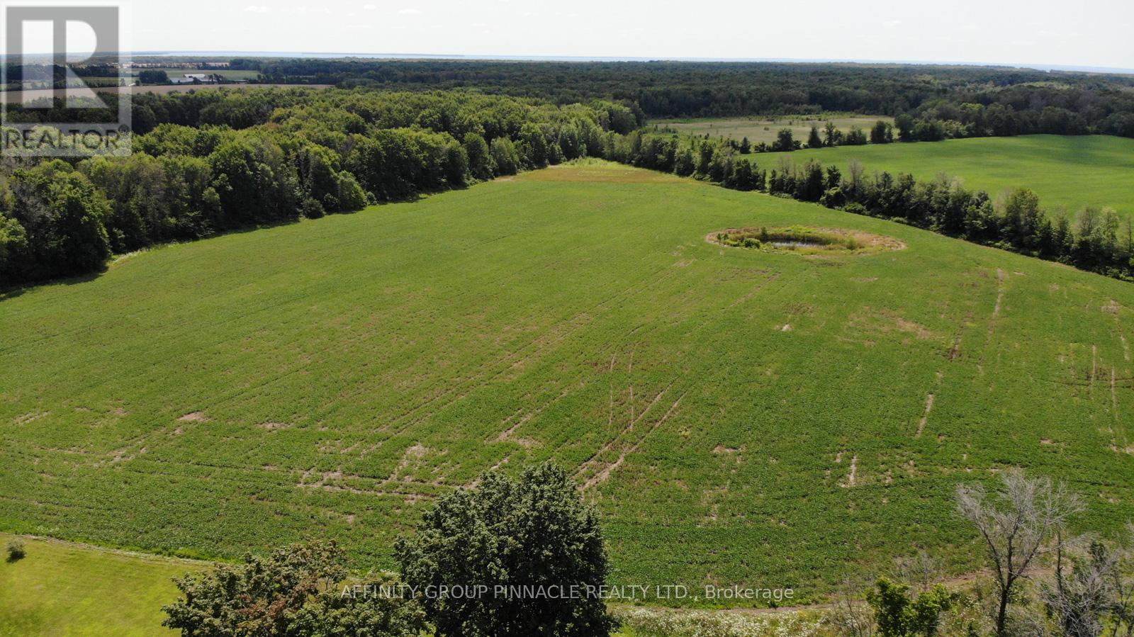 4026 Highway 12, Ramara, Ontario  L0K 1B0 - Photo 28 - S12046016