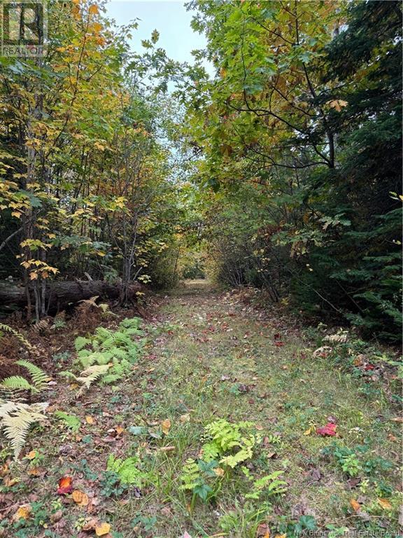 Lot 2 Wegesegum Road, Long Creek, New Brunswick