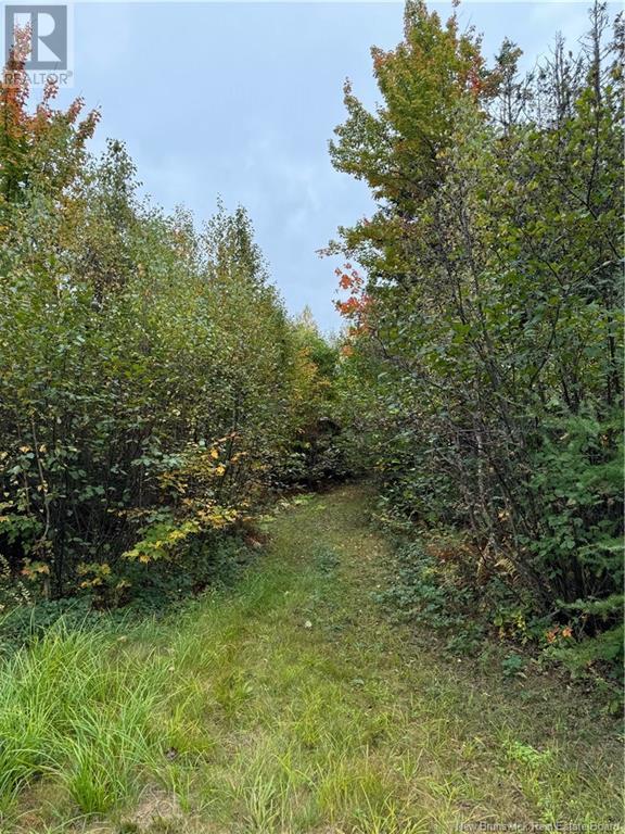 Lot 1 Wegesegum Road, Long Creek, New Brunswick