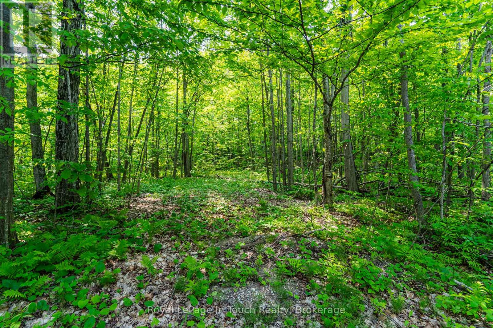 Lot  22 Champlain Road, Tiny, Ontario  L9M 0C1 - Photo 5 - S11971152