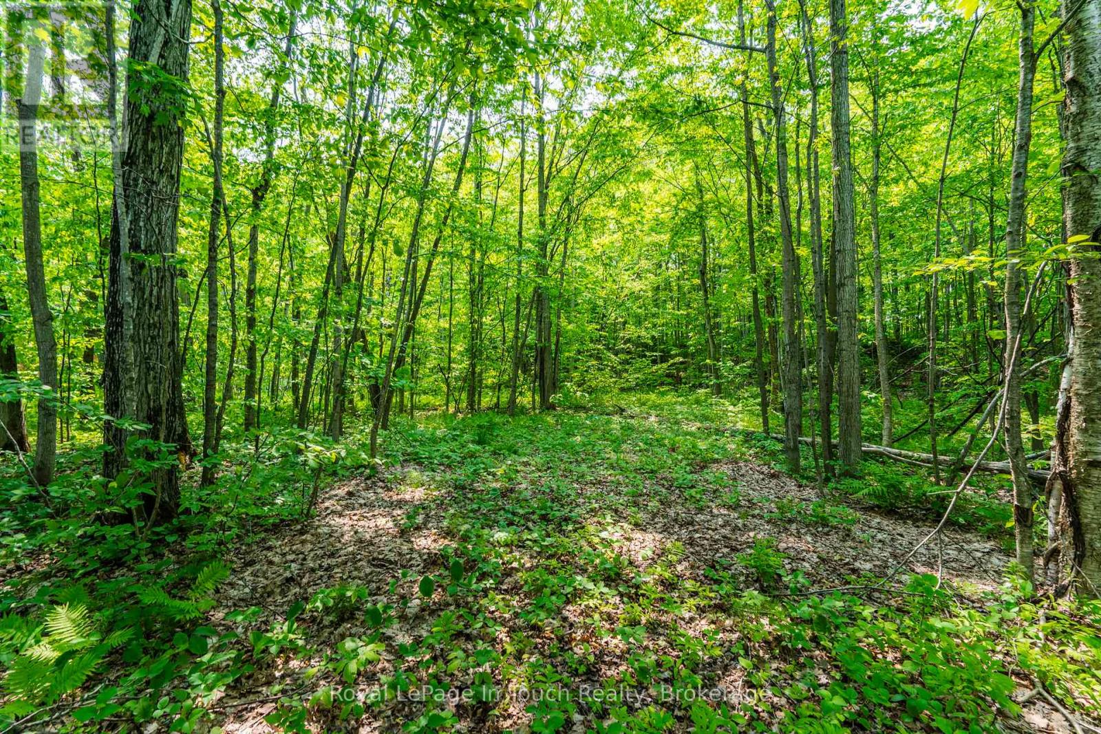 Lot  22 Champlain Road, Tiny, Ontario  L9M 0C1 - Photo 9 - S11971152