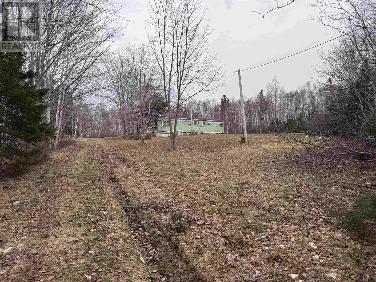 2058 New Campbellton Road, Cape Dauphin, Nova Scotia  B1X 1X5 - Photo 19 - 202506027