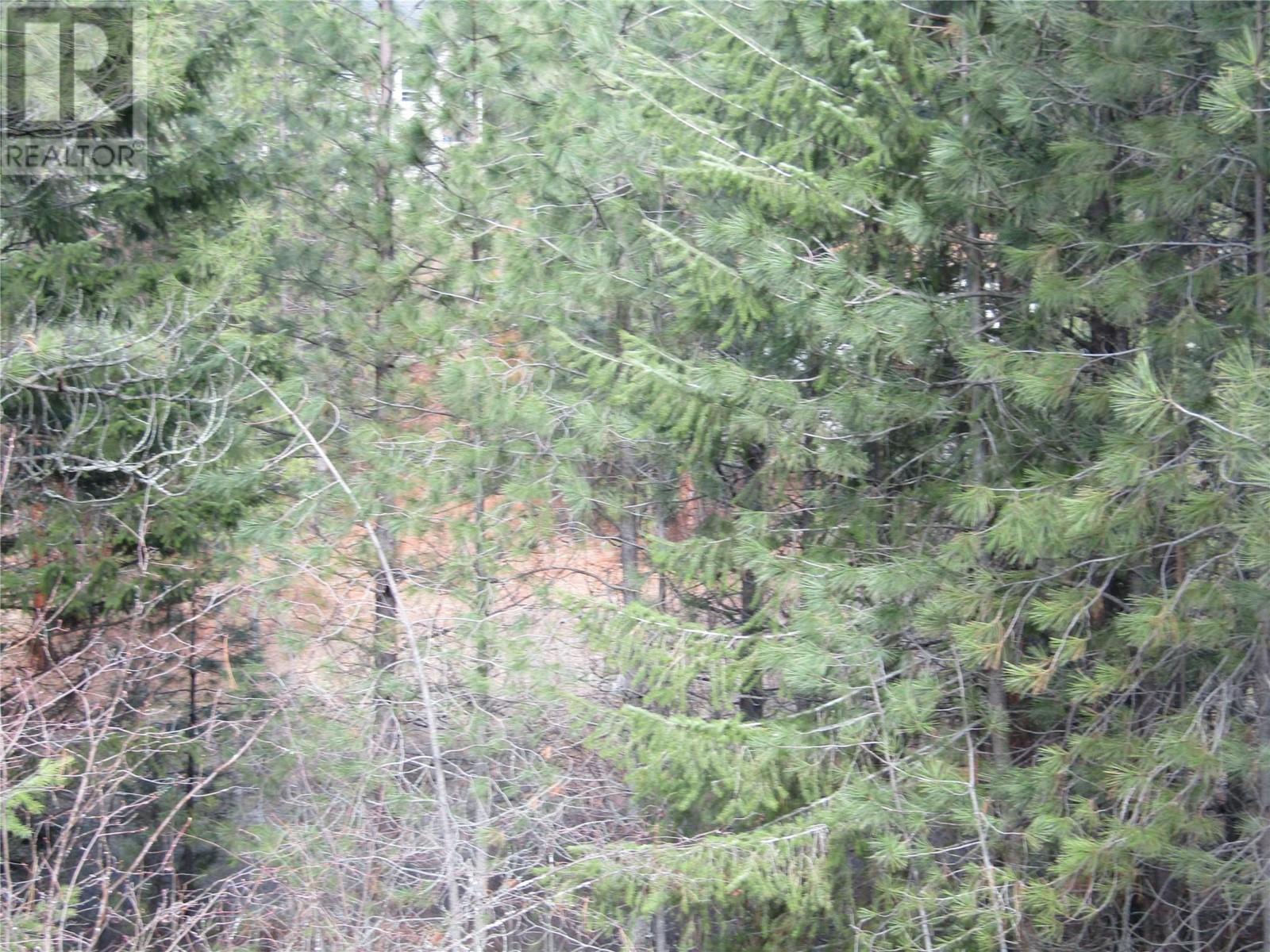 Lot 11 Prospect Drive Lot# 11, Grand Forks, British Columbia  V0H 1H2 - Photo 6 - 10340876