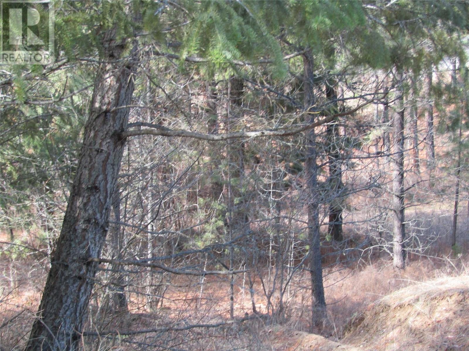 Lot 11 Prospect Drive Lot# 11, Grand Forks, British Columbia  V0H 1H2 - Photo 2 - 10340876
