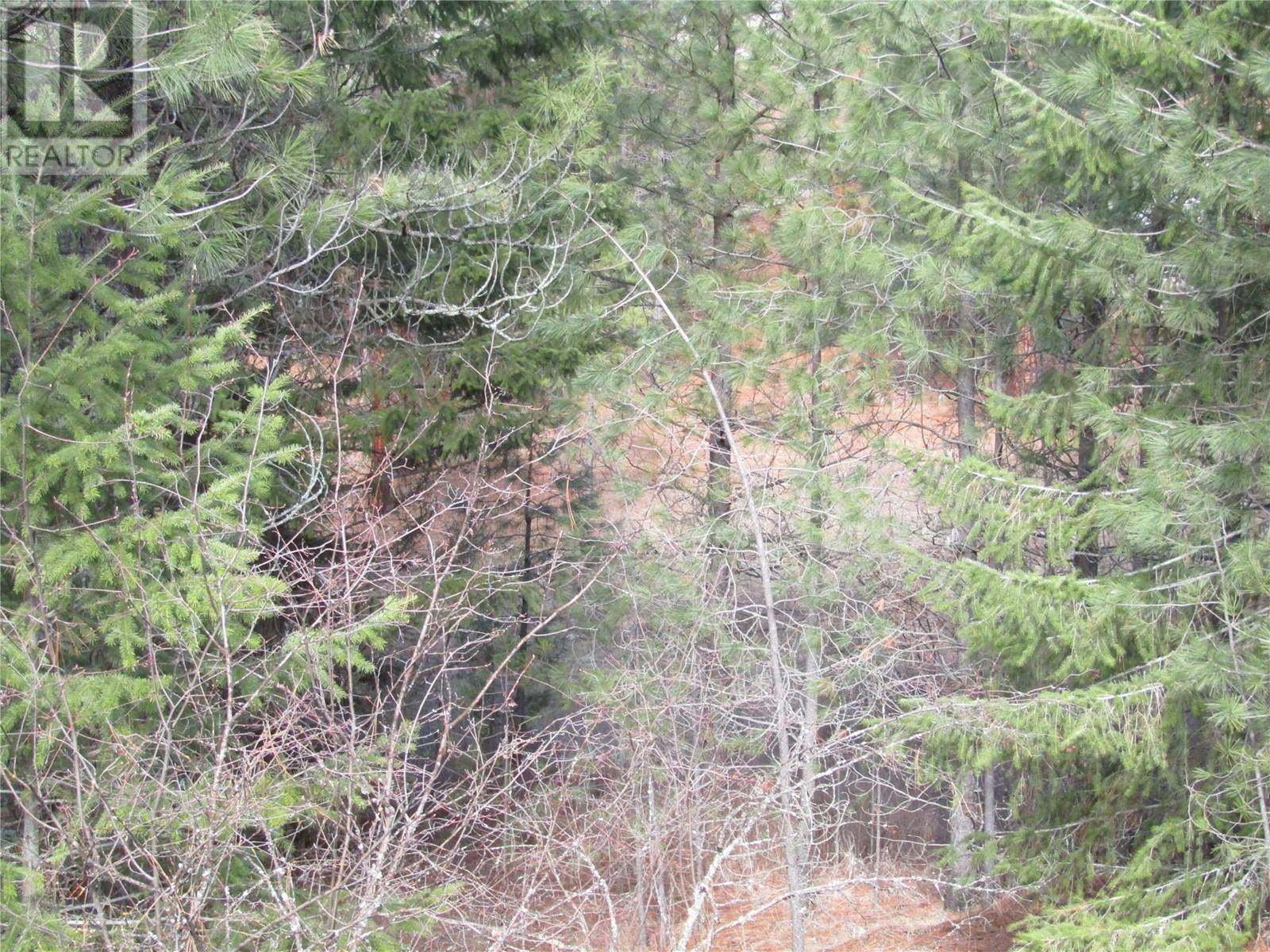 Lot 11 Prospect Drive Lot# 11, Grand Forks, British Columbia  V0H 1H2 - Photo 5 - 10340876