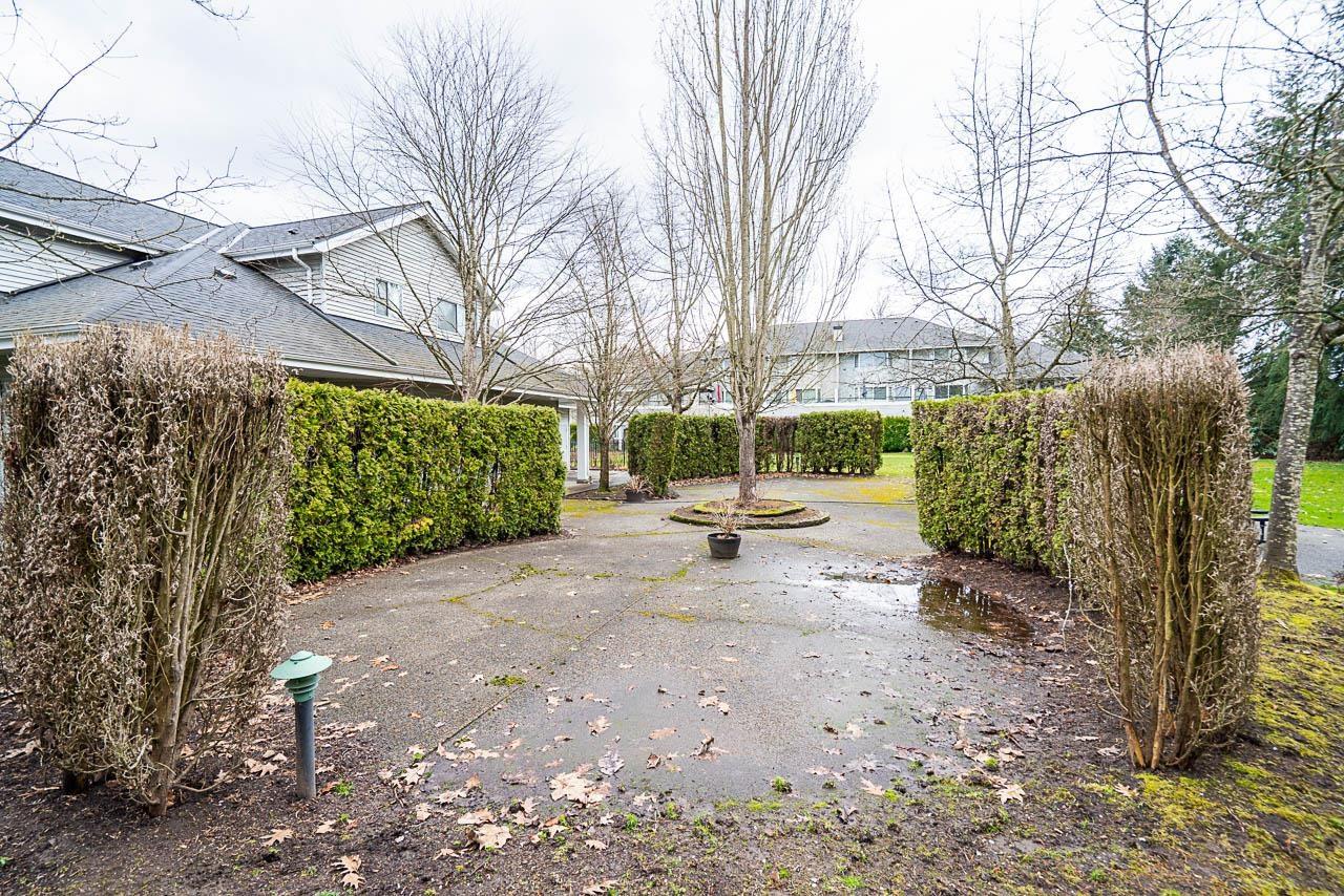 Property at 1 13660 84 AVENUE image 3