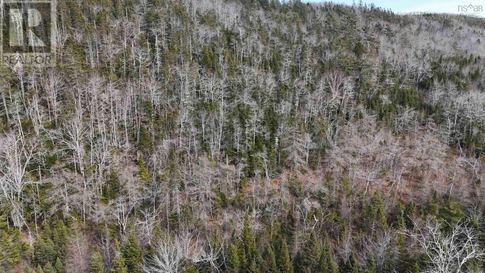 Sonora Road, Sonora, Nova Scotia  B0J 3C0 - Photo 38 - 202506038