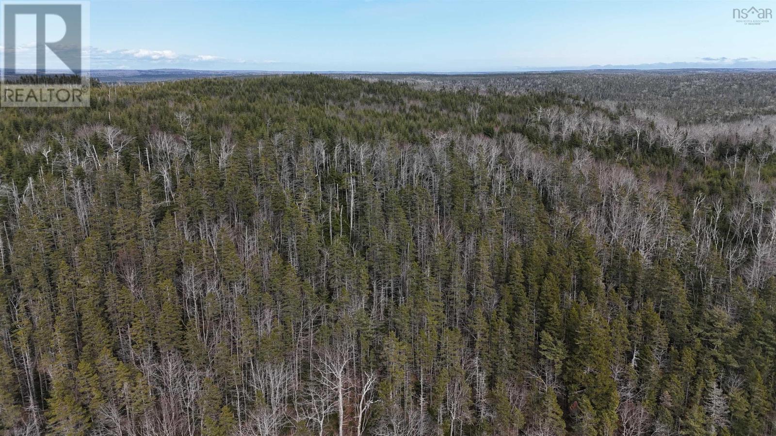 Sonora Road, Sonora, Nova Scotia  B0J 3C0 - Photo 39 - 202506038