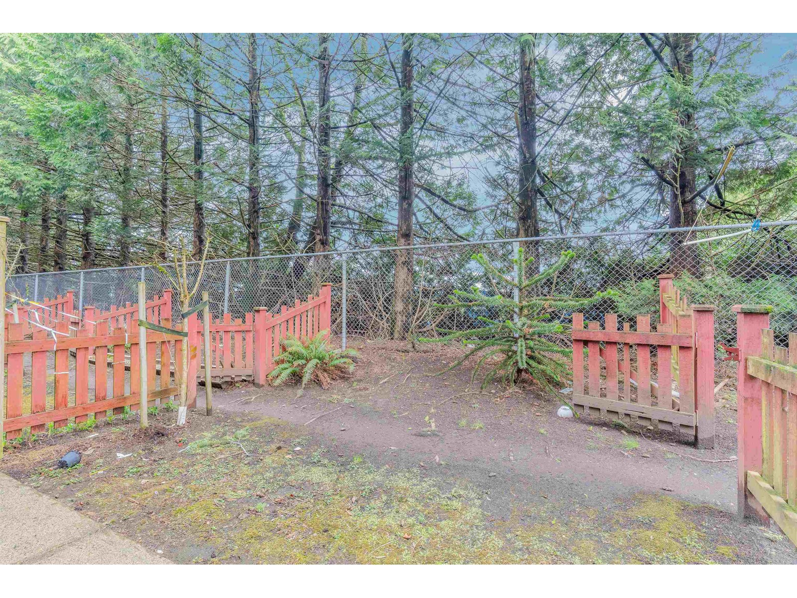 18 12585 72 Avenue, Surrey, British Columbia  V3W 1R9 - Photo 22 - R2981239