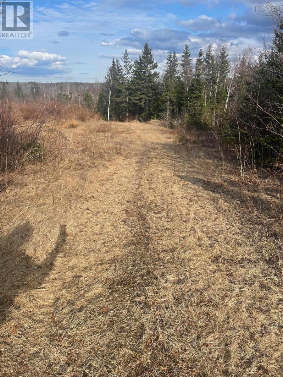 0 Meadows Road, Portage, Nova Scotia  B1L 1A6 - Photo 10 - 202506043