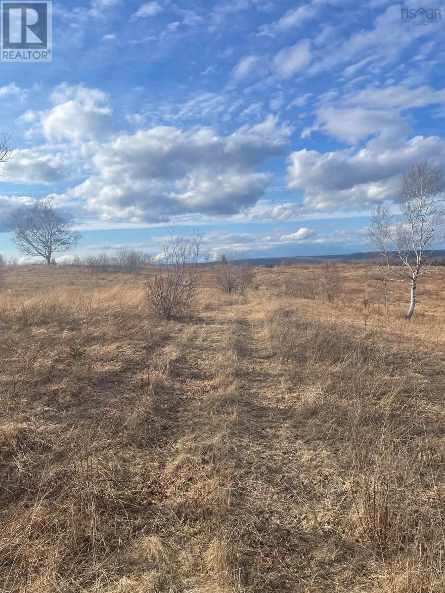 0 Meadows Road, Portage, Nova Scotia  B1L 1A6 - Photo 15 - 202506043