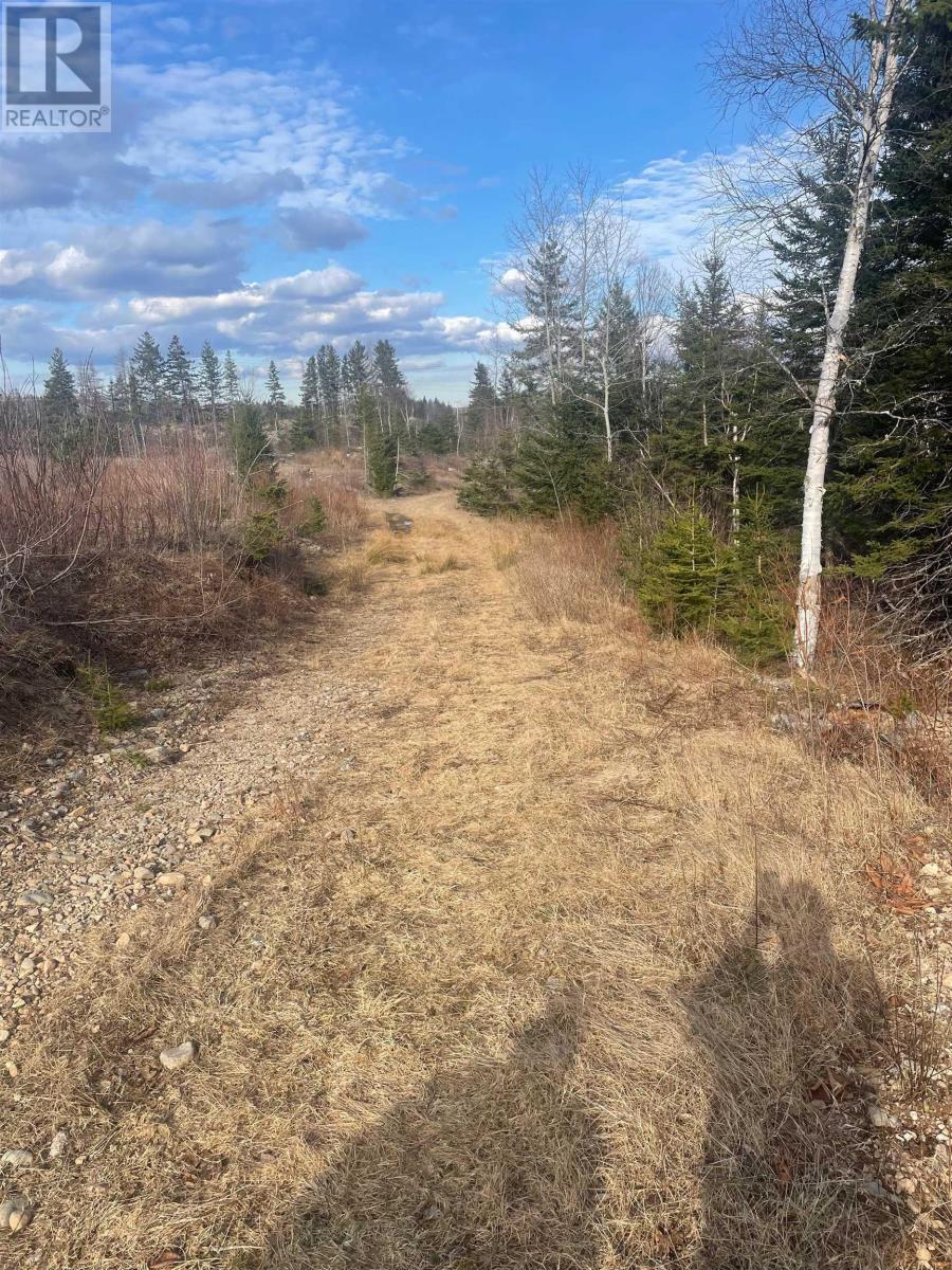 0 Meadows Road, Portage, Nova Scotia  B1L 1A6 - Photo 9 - 202506043