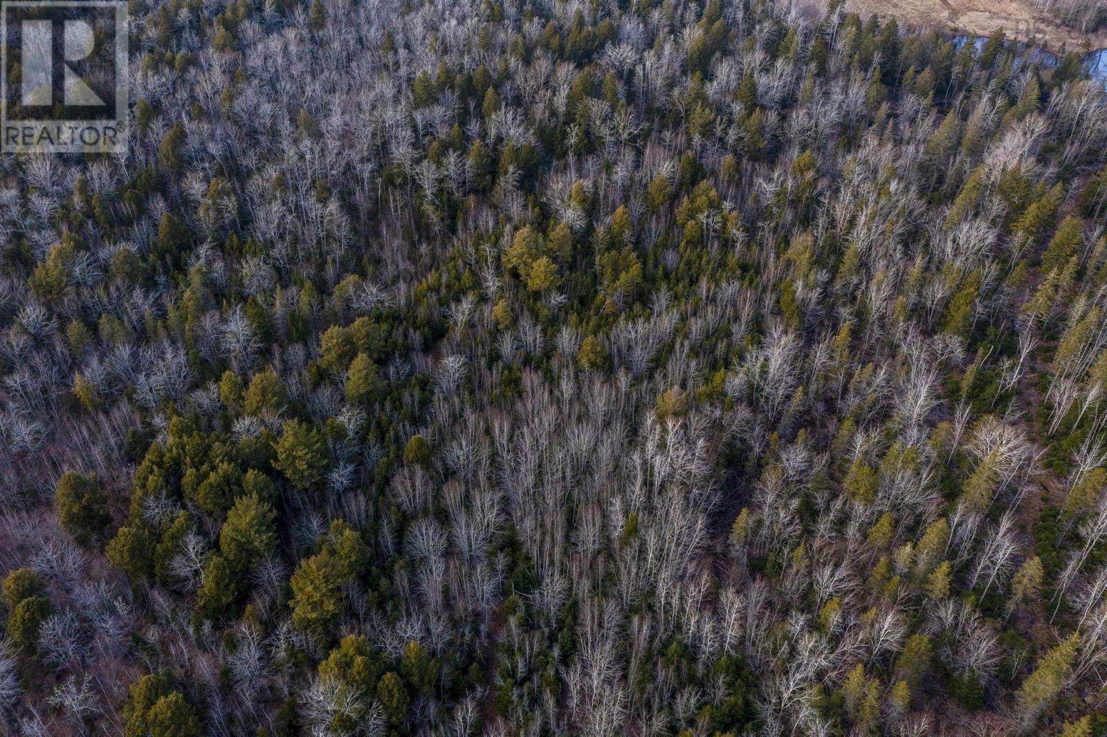 4172 East River East Side, Plymouth, Nova Scotia  B2H 5C5 - Photo 48 - 202506044