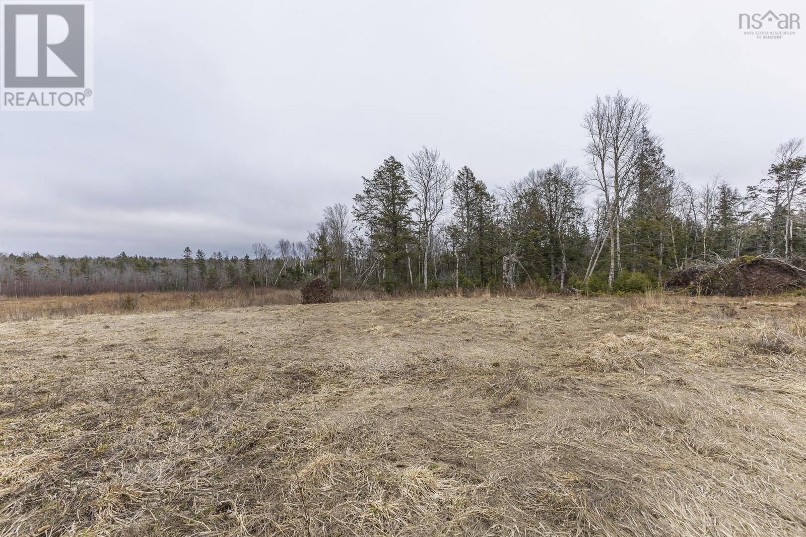 4172 East River East Side, Plymouth, Nova Scotia  B2H 5C5 - Photo 42 - 202506046