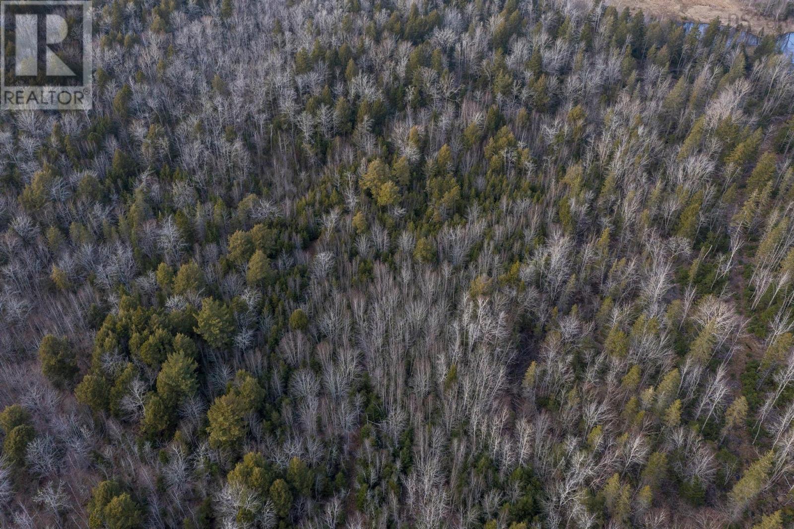 4172 East River East Side, Plymouth, Nova Scotia  B2H 5C5 - Photo 44 - 202506046