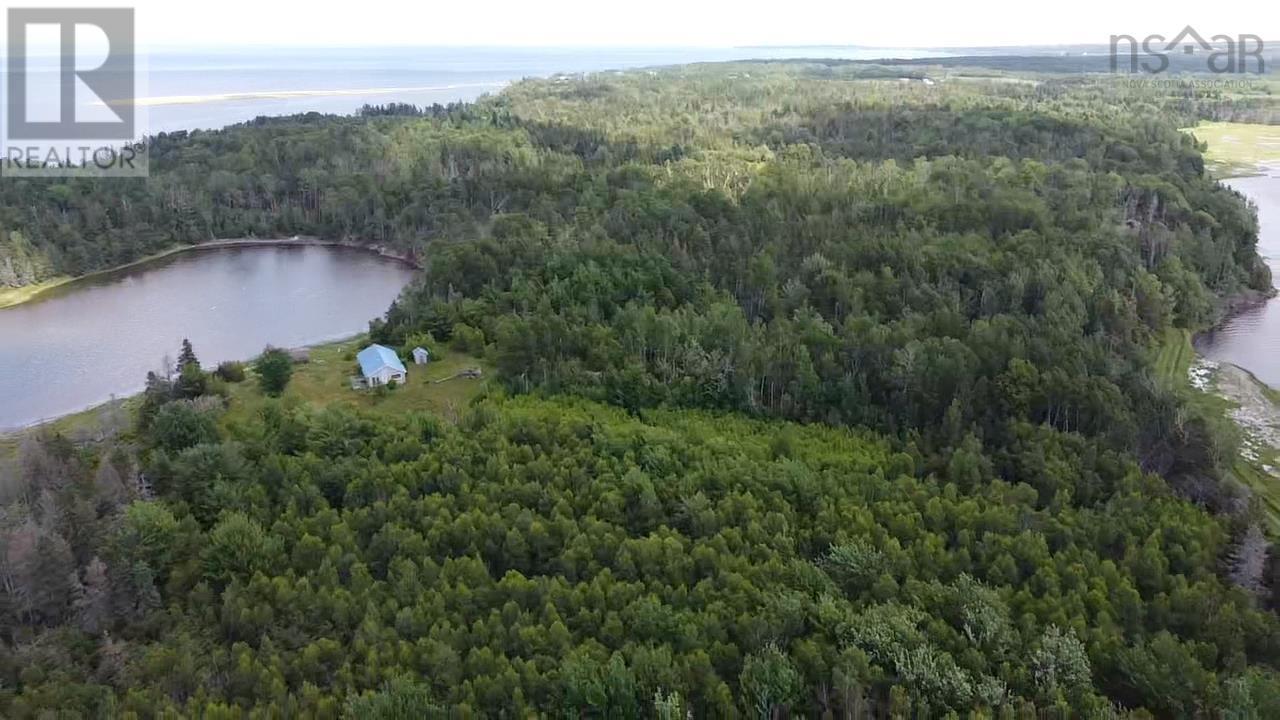 354 Horton Point Road, North Shore, Nova Scotia  B0K 1E0 - Photo 6 - 202506054