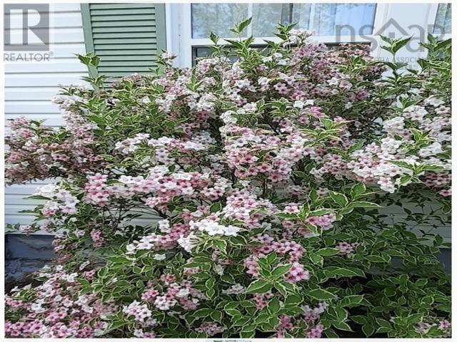 14551 Highway 1, Wilmot, Nova Scotia  B0P 1W0 - Photo 15 - 202506058