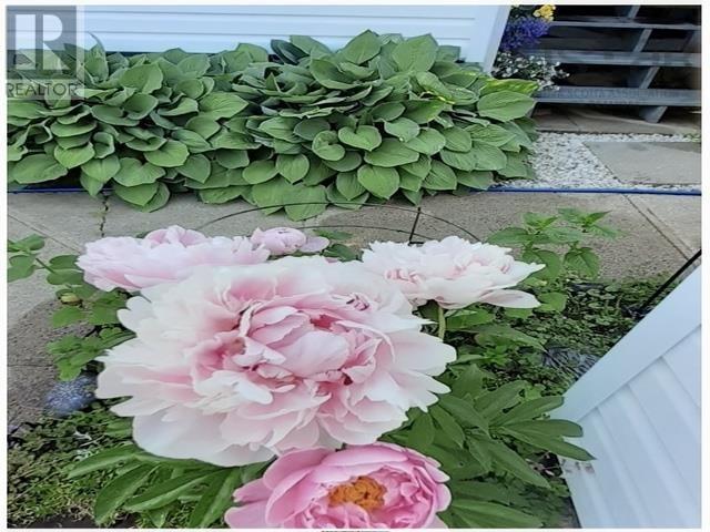 14551 Highway 1, Wilmot, Nova Scotia  B0P 1W0 - Photo 16 - 202506058