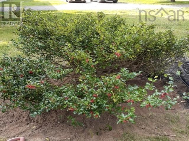 14551 Highway 1, Wilmot, Nova Scotia  B0P 1W0 - Photo 18 - 202506058