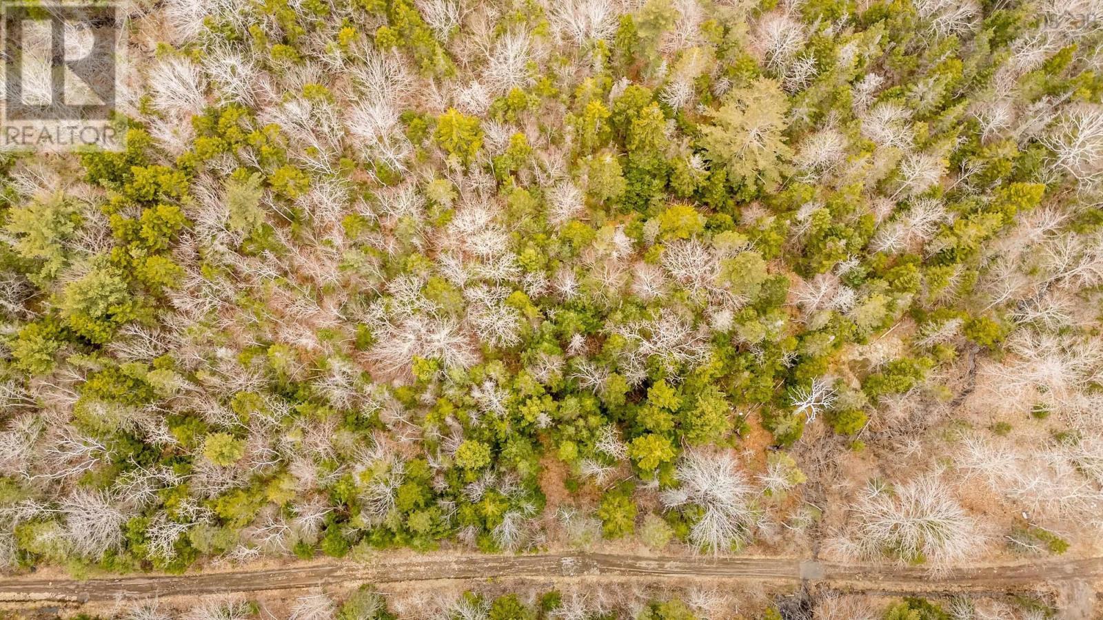 Lot A Shore Road, forest glade, Nova Scotia