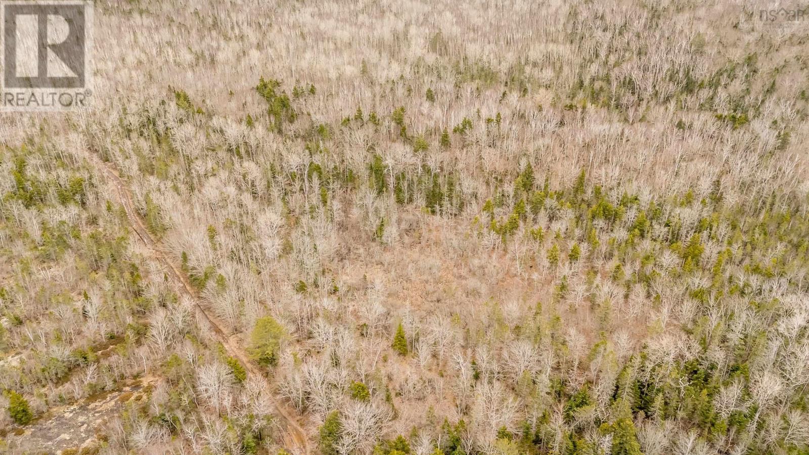 Lot C Forest Glade Road, Forest Glade, Nova Scotia  B0P 1R0 - Photo 17 - 202506067