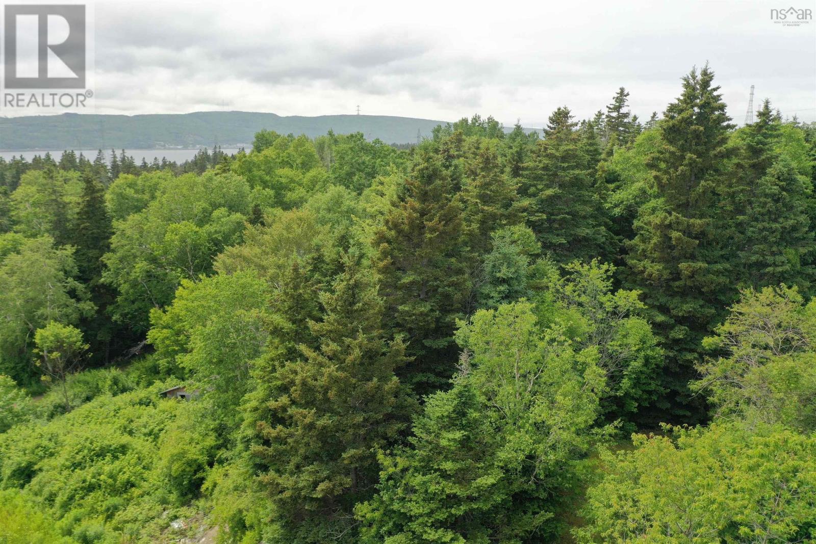 Lot 31 William Street, Port Hastings, Nova Scotia  B9A 1L1 - Photo 5 - 202506075