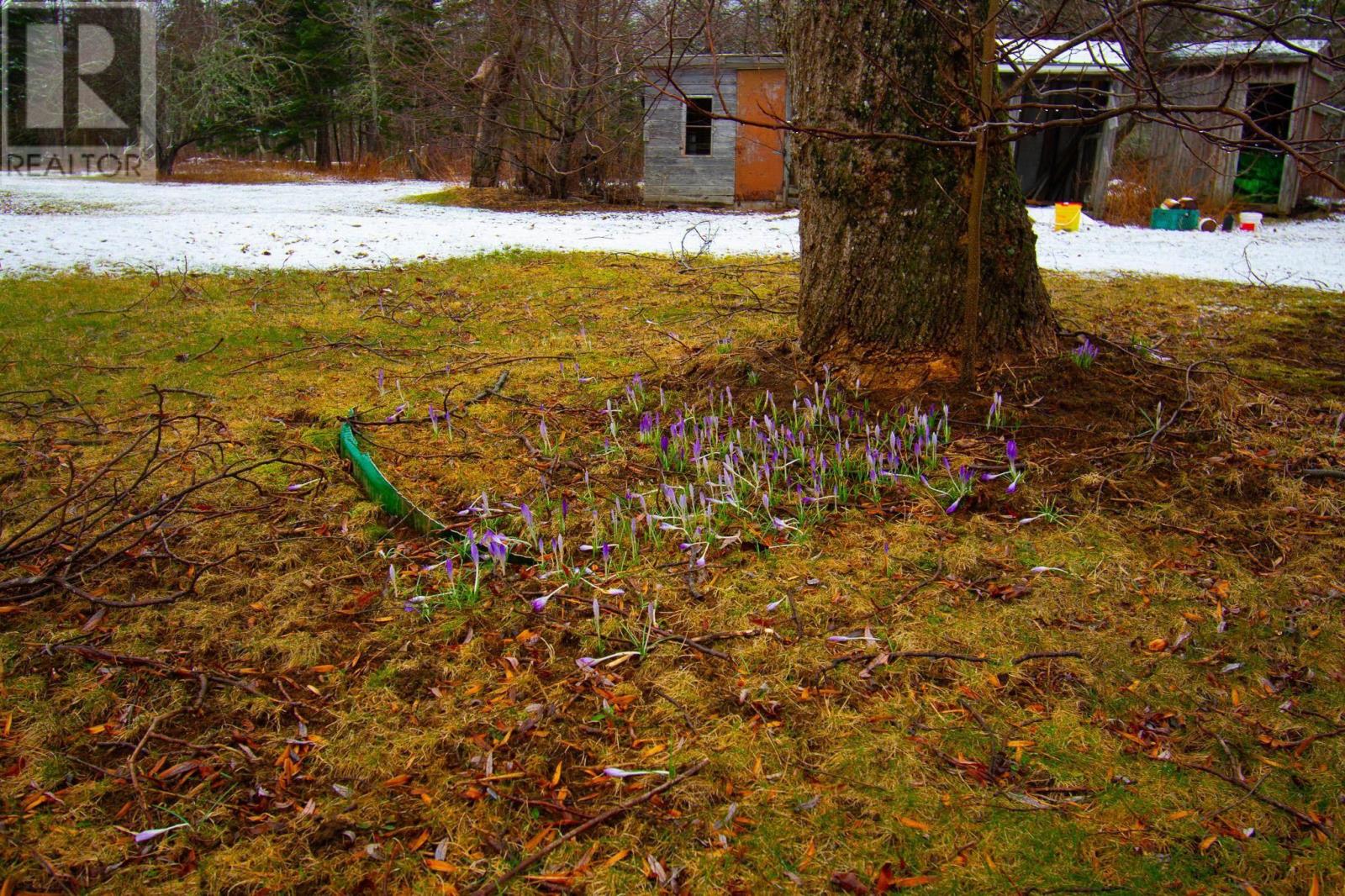 15 Margaret Road, Margaretsville, Nova Scotia  B0S 1N0 - Photo 34 - 202506087