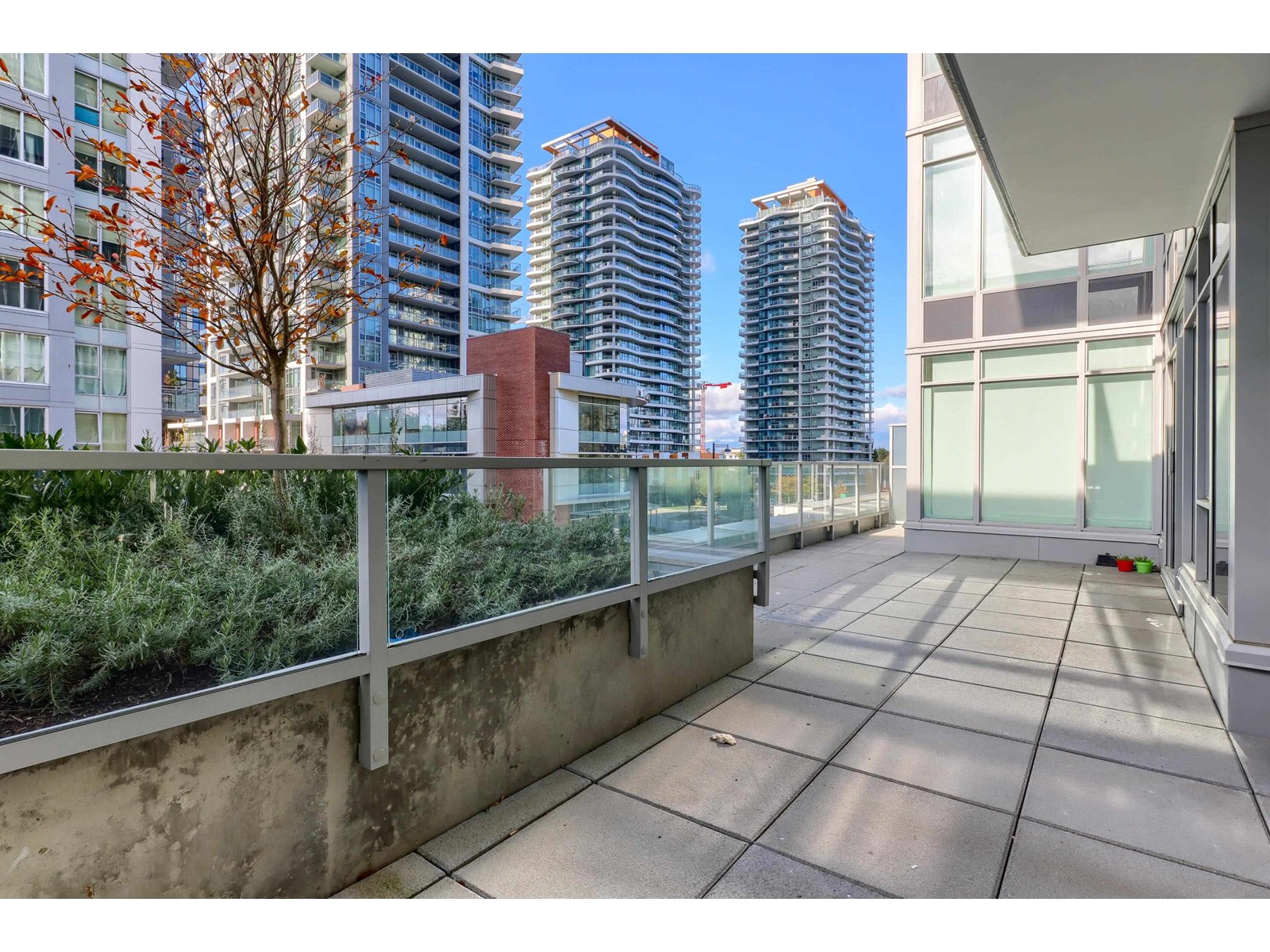 317 13350 Central Avenue, Surrey, British Columbia  V3T 0S1 - Photo 5 - R2982027
