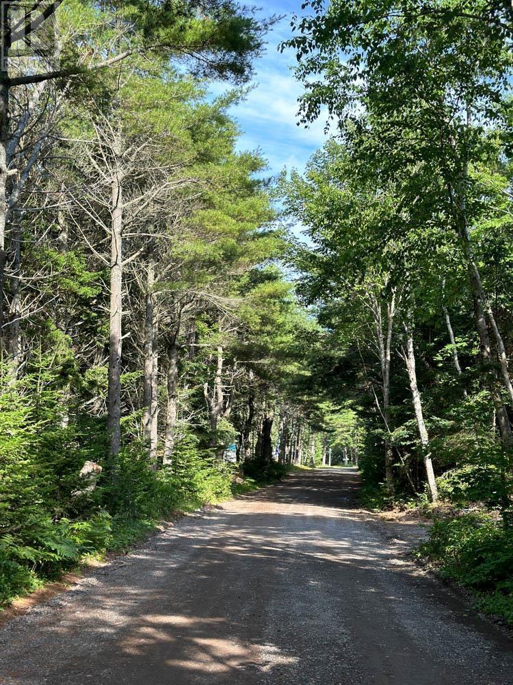 239 Bay Shore Road, Five Houses, Nova Scotia  B0M 1B0 - Photo 33 - 202506093