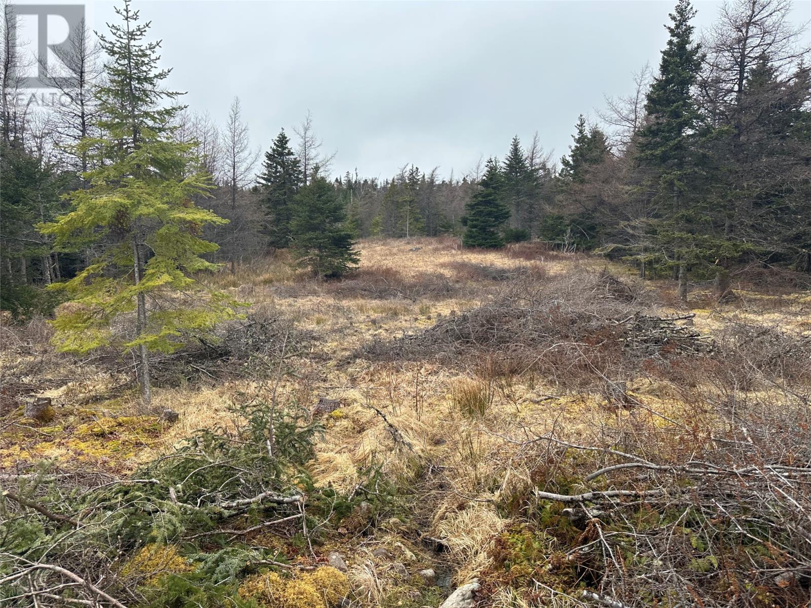 11 North Side Road, Holyrood, Newfoundland & Labrador  A0A 2R0 - Photo 1 - 1283013