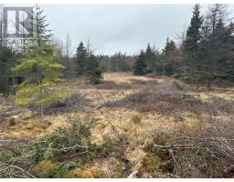 11 North Side Road, Holyrood, Newfoundland & Labrador
